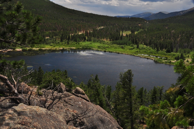 Lily Lake
